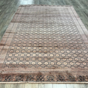 PU54C TERRA Elexus Diamond
